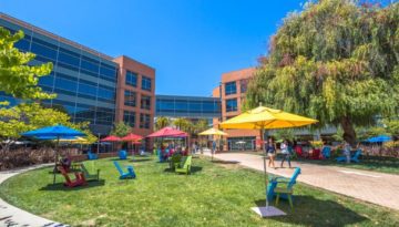 college campus lawn chairs in sun